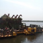 Giraffes crossing Ready to cross River Nile