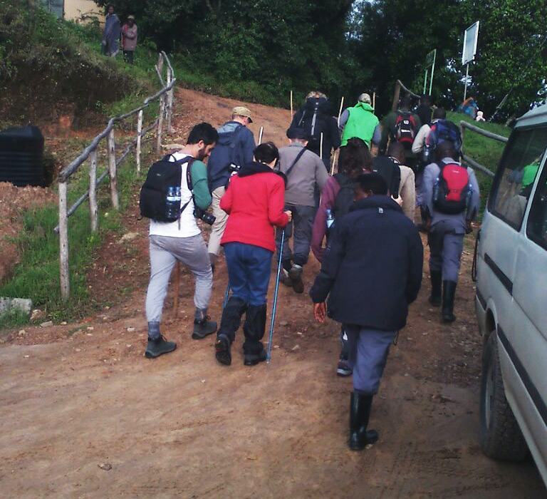 1 Day Gorilla Trekking in Bwindi Forest