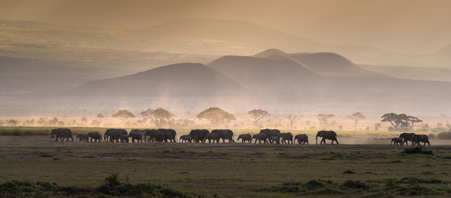3 Days Amboseli National Park safari, Adventure Kenya